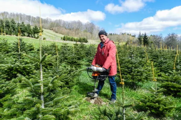 Christian Hörhager bei Christbaumarbeiten