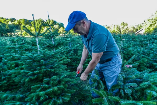 Formschnitt wenn notwendig