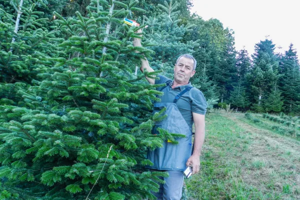 Etikettieren für den Verkauf